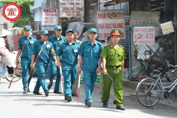 Tổ bảo vệ an ninh, trật tự là hình thức tổ chức của lực lượng tham gia bảo vệ an ninh, trật tự ở cơ sở đúng không?