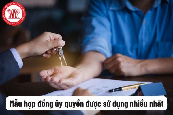 Top 3 mẫu hợp đồng ủy quyền được sử dụng nhiều nhất hiện nay có file tải? Quyền và nghĩa vụ của các bên trong hợp đồng ủy quyền?