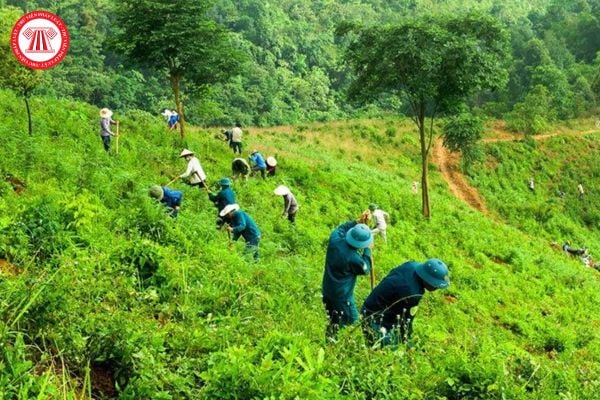 Hộ gia đình đồng bào dân tộc thiểu số tại khu vực nào thực hiện bảo vệ rừng thì được trợ cấp gạo bảo vệ và phát triển rừng?