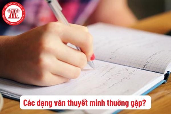 Văn thuyết minh là gì? Ví dụ văn thuyết minh? Các dạng văn thuyết minh thường gặp? Yêu cầu cần đạt về năng lực ngôn ngữ đối với học sinh lớp 8, lớp 9?