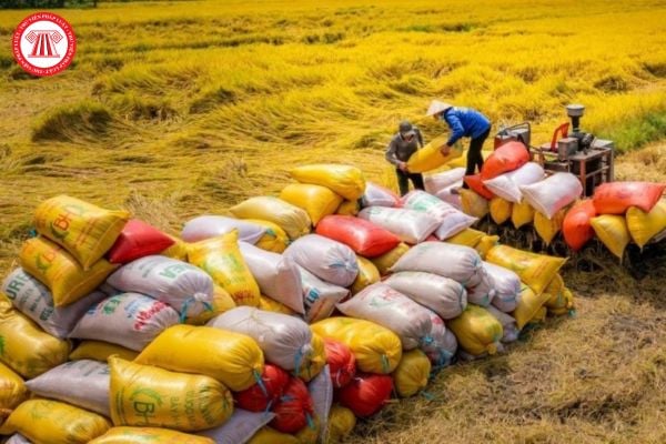 Kinh doanh xuất khẩu gạo phải có bao nhiêu cơ sở chế biến gạo? Chuẩn bị mấy bộ hồ sơ khi đề nghị cấp Giấy chứng nhận đủ điều kiện kinh doanh xuất khẩu gạo?