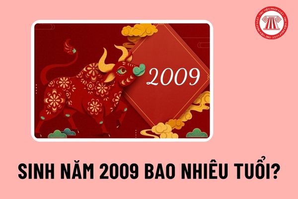 Sinh năm 2009 bao nhiêu tuổi? Năm 2024, công dân Việt Nam sinh năm 2009 có được làm căn cước công dân không?