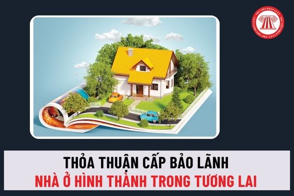 Từ 2025, thỏa thuận cấp bảo lãnh trong bán, cho thuê mua nhà ở hình thành trong tương lai có phải công khai không?