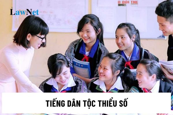 Hình thức tổ chức dạy học tiếng dân tộc tại các cơ sở giáo dục phổ thông thế nào?