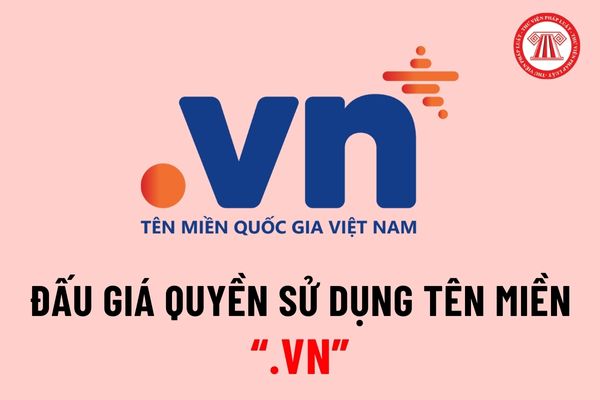 Đấu giá quyền sử dụng tên miền quốc gia Việt Nam .vn ra sao? Giải quyết tranh chấp đăng ký, sử dụng tên miền .vn như thế nào?