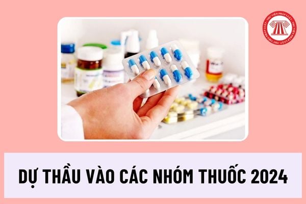 Quy định về việc dự thầu vào các nhóm thuốc tại Thông tư 07 về việc đấu thầu thuốc tại các cơ sở y tế công lập là gì?