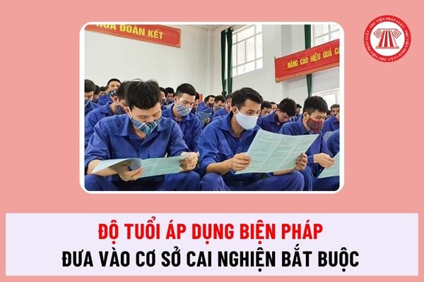 Năm 2024, độ tuổi bị áp dụng biện pháp xử lý hành chính đưa vào cơ sở cai nghiện bắt buộc là bao nhiêu?