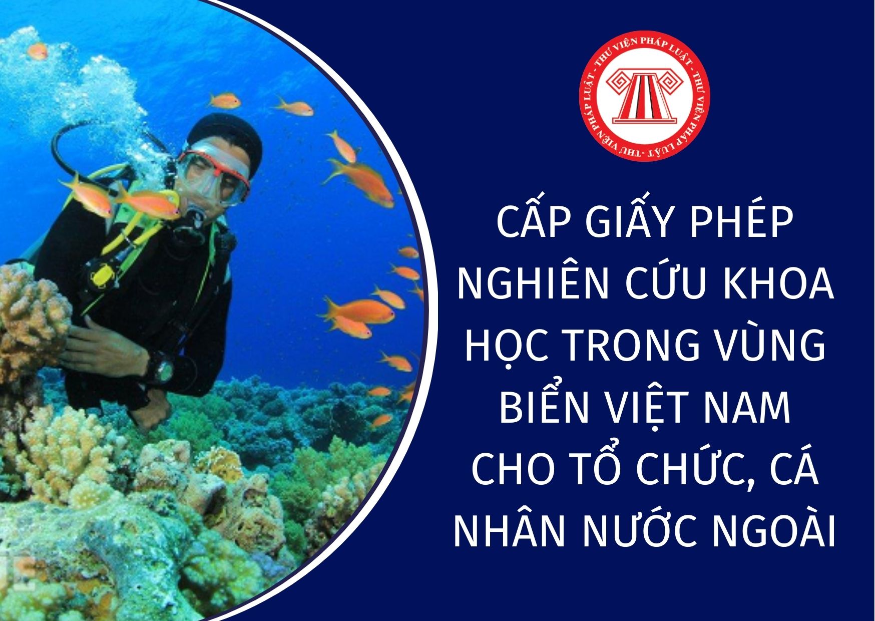 Mức thu phí cấp giấy phép nghiên cứu khoa học trong vùng biển Việt Nam cho tổ chức, cá nhân nước ngoài là bao nhiêu?