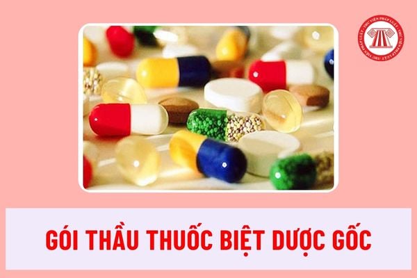 Gói thầu thuốc biệt dược gốc có thể có nhiều thuốc biệt dược gốc hoặc sinh phẩm tham chiếu không?