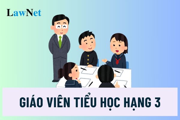 Giáo viên tiểu học hạng 3 mã số là gì? Giáo viên tiểu học hạng 3 phải sử dụng được ngoại ngữ đúng không?