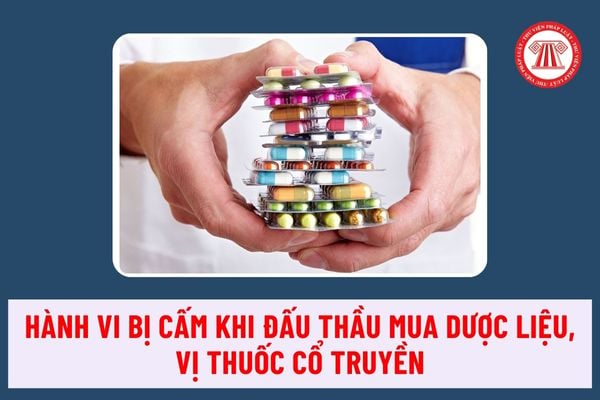 Hành vi bị cấm khi đấu thầu mua dược liệu, vị thuốc cổ truyền qua mạng áp dụng phương thức một giai đoạn một túi hồ sơ là gì?