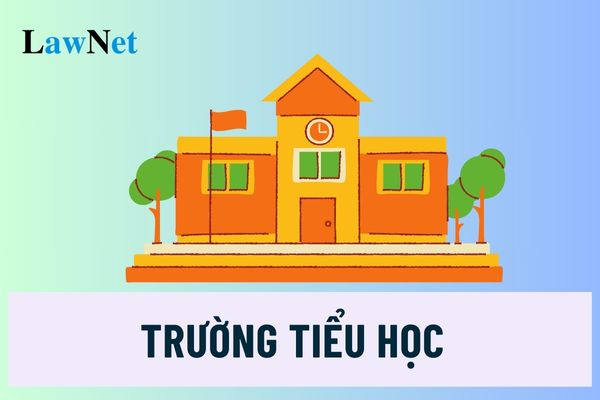 Trường tiểu học sẽ quản lý những hồ sơ quản lý hoạt động giáo dục nào?