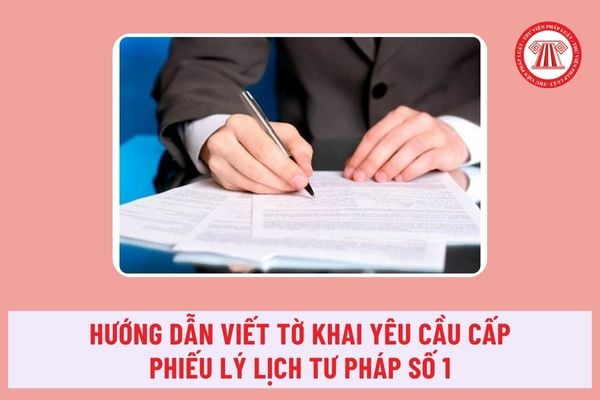 Hướng dẫn viết tờ khai yêu cầu cấp Phiếu lý lịch tư pháp số 1 theo quy định năm 2024 như thế nào? 