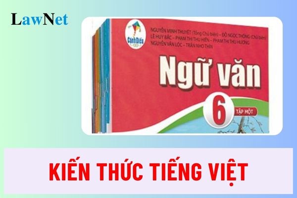 Kiến thức Tiếng Việt của học sinh lớp ̉6 gồm những gì?