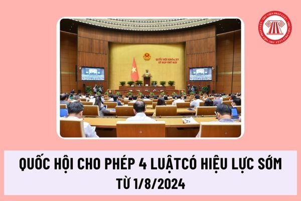 Quốc hội đồng ý cho phép 4 Luật nào có hiệu lực sớm từ 1/8/2024 thay vì 1/7/2024 và 1/1/2025 (Dự kiến)?