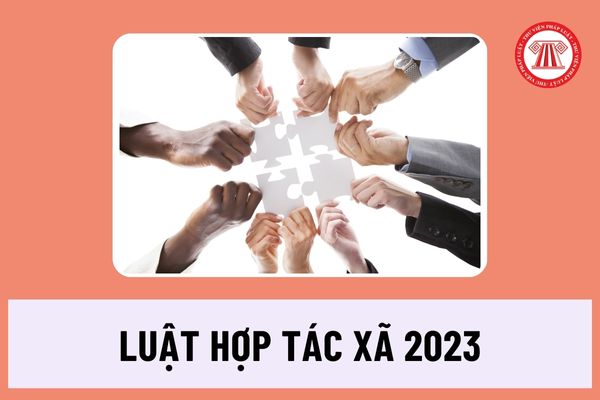 Luật Hợp tác xã 2023 quy định về người đại diện theo pháp luật của hợp tác xã, liên hiệp hợp tác xã như thế nào?