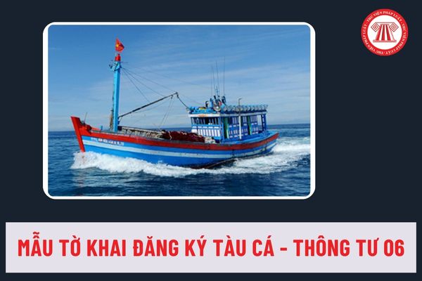 Mẫu tờ khai đăng ký tàu cá đối với tàu cá đã được đóng mới, cải hoán, mua bán, tặng cho theo Thông tư 06 là mẫu nào? 