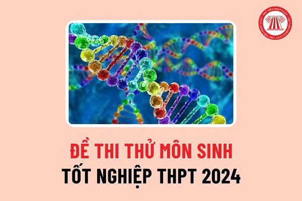 Đề thi thử môn Sinh học tốt nghiệp THPT 2024 tại Hà Nội ra sao? Gợi ý đáp án bài thi thử như thế nào?