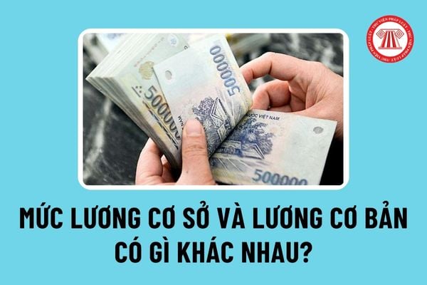 Mức lương cơ sở và lương cơ bản có gì khác nhau? Sau cải cách, tiền lương tính bằng mức lương cơ sở hay lương cơ bản?