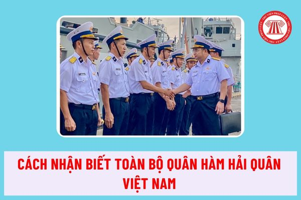 Cách nhận biết toàn bộ quân hàm Hải quân Việt Nam như thế nào? Ai có thẩm quyền bổ nhiệm, miễn nhiệm Đô đốc Hải quân?