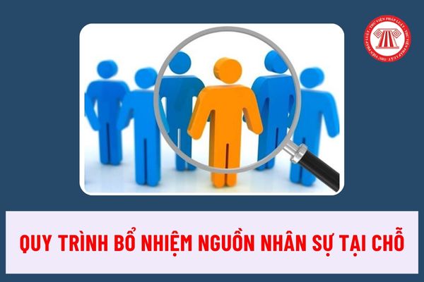 Quy trình bổ nhiệm nguồn nhân sự tại chỗ đối với các chức vụ quản lý trong các đơn vị sự nghiệp công lập của Bộ Y tế ra sao?