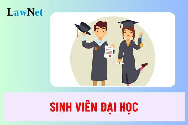 Nhiệm vụ của sinh viên đại học theo quy đinh của pháp luật ra sao?