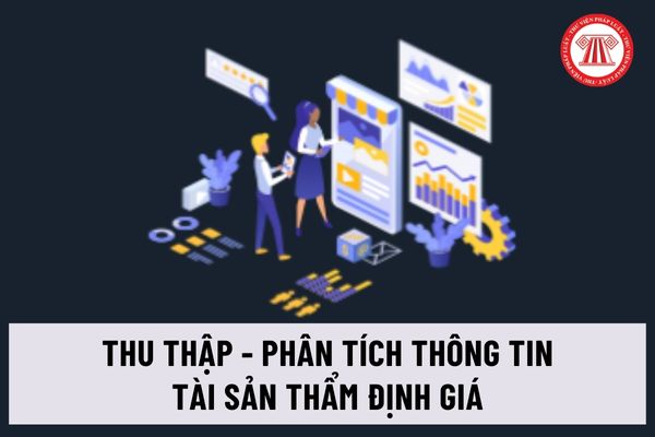 Thông tư 31/2024/TT-BTC về chuẩn mực thẩm định giá Việt Nam về Thu thập và phân tích thông tin về tài sản thẩm định giá ra sao?