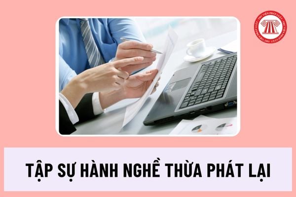 Theo quy định mới nhất, người tập sự hành nghề thừa phát lại bị xử lý hành chính thì có bị chấm dứt tập sự không?