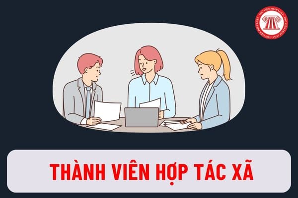 Theo quy định mới nhất, từ 1/7/2024, người là thành viên hợp tác xã sẽ có những nghĩa vụ nào?