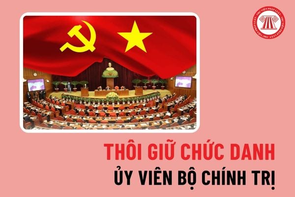 Thôi giữ chức danh Ủy viên Bộ Chính trị khi nào? Tiêu chuẩn chức danh Ủy viên Bộ Chính trị hiện nay là gì?