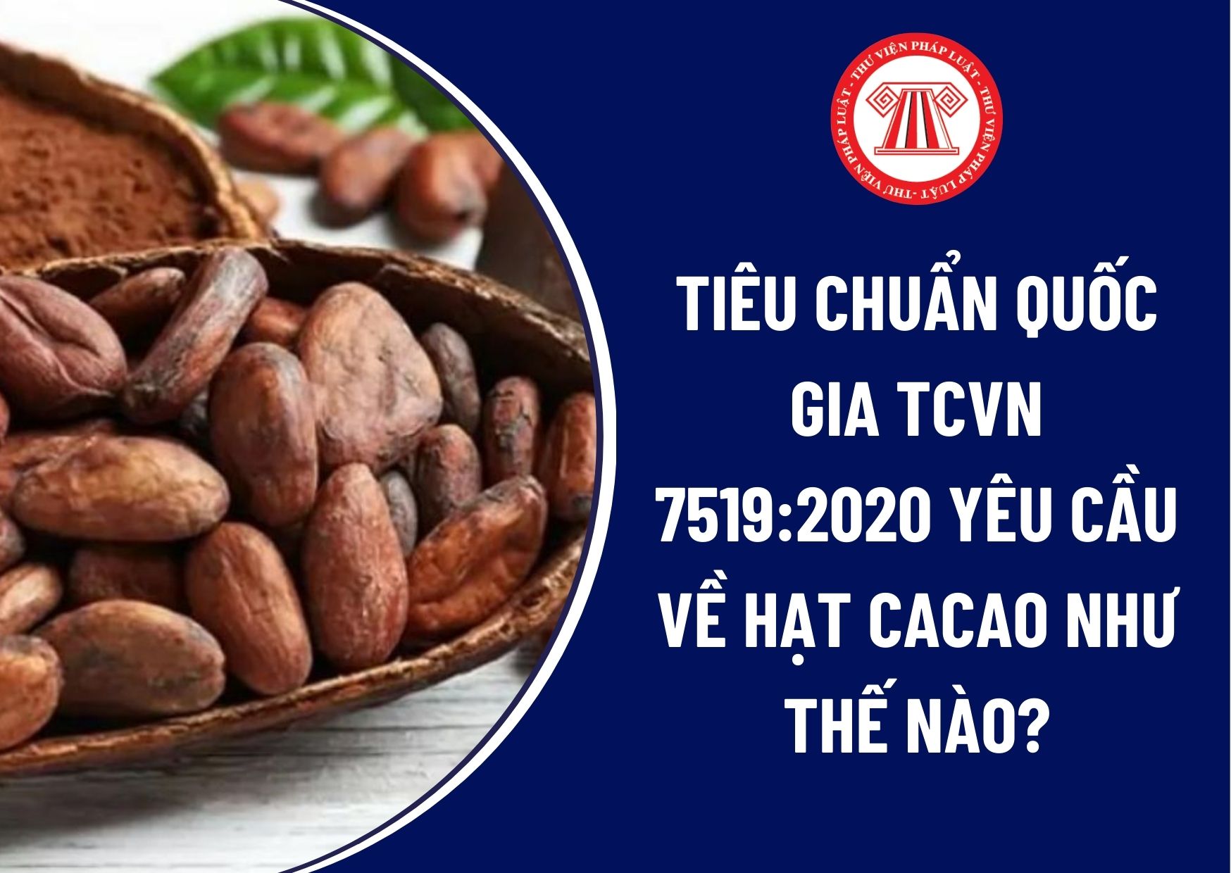Tiêu chuẩn quốc gia TCVN 7519:2020 yêu cầu về hạt cacao như thế nào? Bao bì, ghi nhãn để bao gói ra sao? Cách bảo quản cacao đã bao gói là gì?
