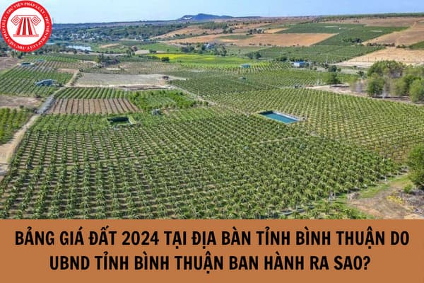 Bảng giá đất 2024 tại địa bàn tỉnh Bình Thuận do UBND tỉnh Bình Thuận ban hành ra sao? 