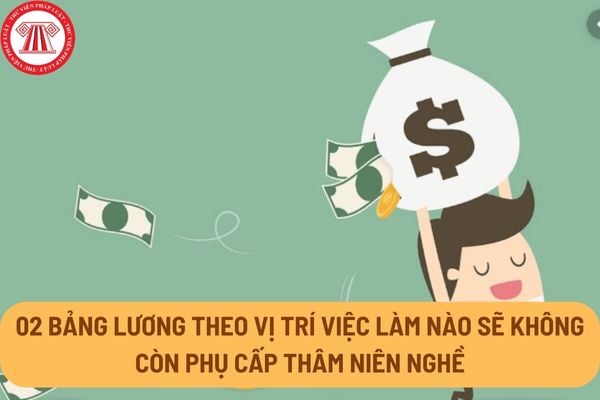 02 bảng lương theo vị trí việc làm nào sẽ không còn phụ cấp thâm niên nghề khi thực hiện cải cách tiền lương 2024?