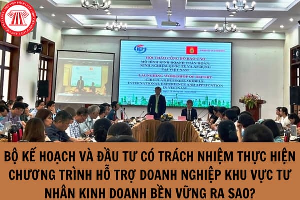 Bộ Kế hoạch và Đầu tư có trách nhiệm thực hiện Chương trình hỗ trợ doanh nghiệp khu vực tư nhân kinh doanh bền vững giai đoạn 2022-2025 ra sao?