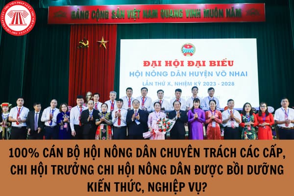 100% cán bộ hội nông dân chuyên trách các cấp, chi hội trưởng chi hội nông dân được bồi dưỡng kiến thức, nghiệp vụ theo chỉ đạo mới nhất của Bộ Chính trị?