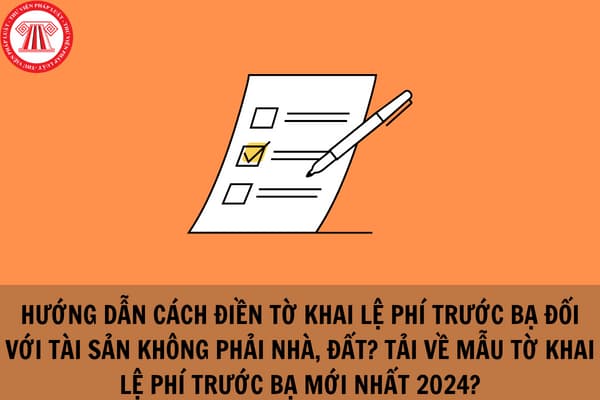 Hướng dẫn cách điền Tờ khai lệ phí trước bạ đối với tài sản không phải nhà, đất?