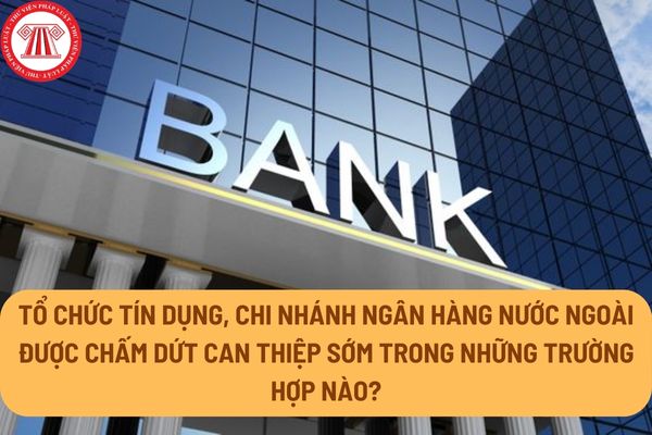 Tổ chức tín dụng, chi nhánh ngân hàng nước ngoài được chấm dứt can thiệp sớm trong những trường hợp nào?