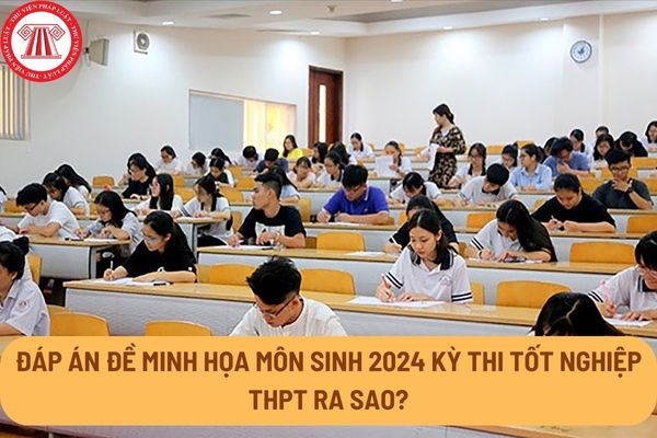 Đáp án đề minh họa môn Sinh 2024 kỳ thi tốt nghiệp THPT ra sao?