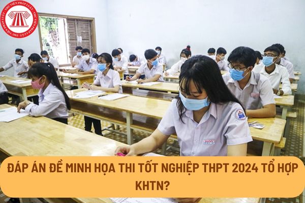 Đáp án đề minh họa thi tốt nghiệp THPT 2024 tổ hợp KHTN?