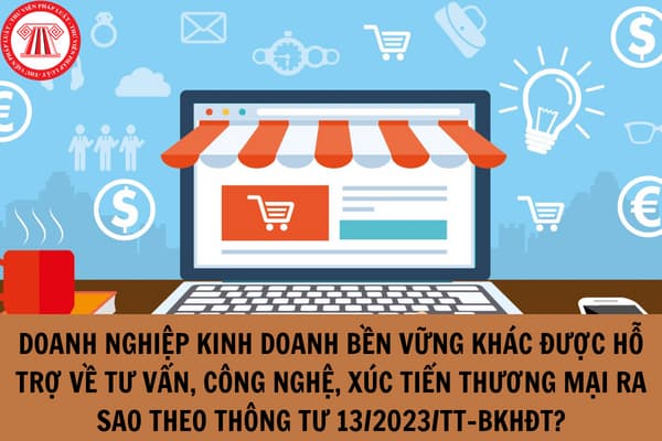 Doanh nghiệp kinh doanh bền vững khác được hỗ trợ về tư vấn, công nghệ, xúc tiến thương mại ra sao theo Thông tư 13/2023/TT-BKHĐT?