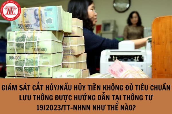 Giám sát cắt hủy/nấu hủy tiền không đủ tiêu chuẩn lưu thông được hướng dẫn tại Thông tư 19/2023/TT-NHNN như thế nào?