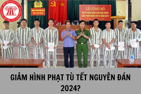 Phạm nhân có được xét giảm thời hạn chấp hành án phạt tù vào Tết Nguyên đán 2024 hay không?