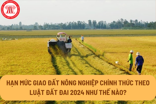 Hạn mức giao đất nông nghiệp chính thức theo Luật Đất đai 2024 như thế nào?