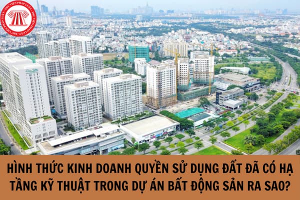 Kinh doanh quyền sử dụng đất đã có hạ tầng kỹ thuật trong dự án bất động sản có bao nhiêu hình thức theo quy định mới nhất?