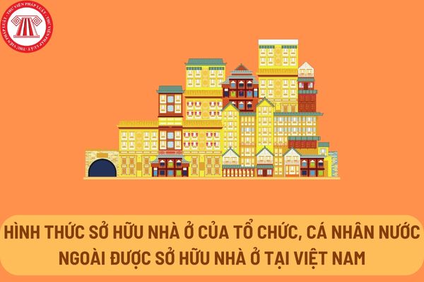 Hình thức sở hữu nhà ở của tổ chức, cá nhân nước ngoài được sở hữu nhà ở tại Việt Nam từ 01/01/2025?