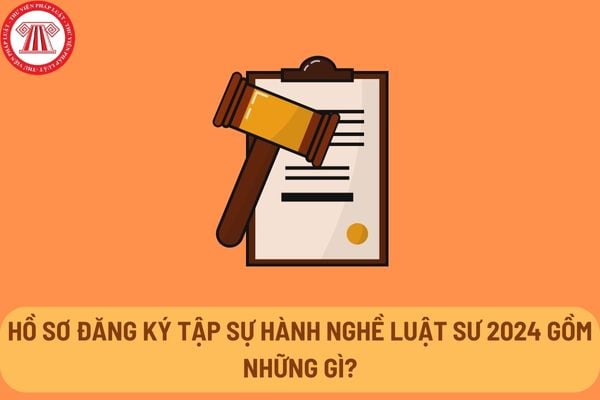 Hồ sơ đăng ký tập sự hành nghề luật sư 2024 gồm những gì?