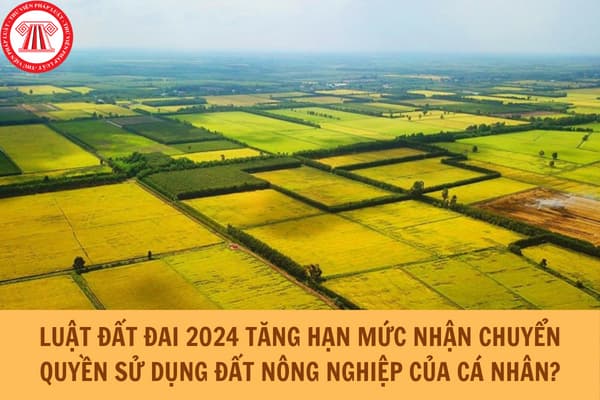 Luật Đất đai 2024 tăng hạn mức nhận chuyển quyền sử dụng đất nông nghiệp của cá nhân như thế nào?