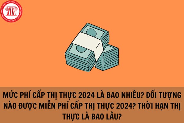 Mức phí cấp thị thực 2024 là bao nhiêu?