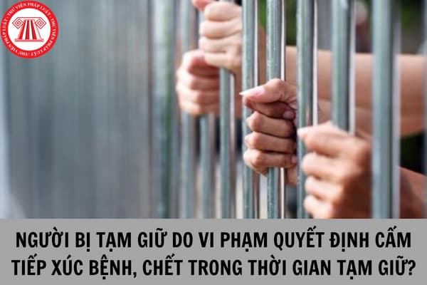 Người vi phạm quyết định cấm tiếp xúc bị tạm giữ theo thủ tục hành chính bị bệnh hoặc chết trong thời gian tạm giữ thì xử lý như thế nào?