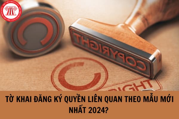 Hướng dẫn điền tờ khai đăng ký quyền liên quan theo mẫu mới nhất 2024?